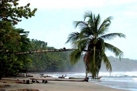 Bělostné pláže s palmami, častý obrázek na ostrově.